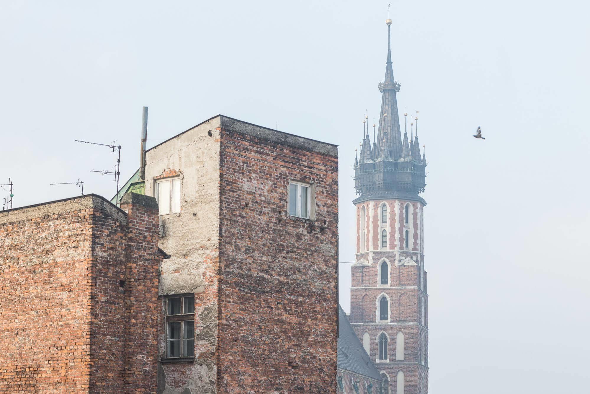 Novumhouse - Straszewskiego Krakow Dış mekan fotoğraf